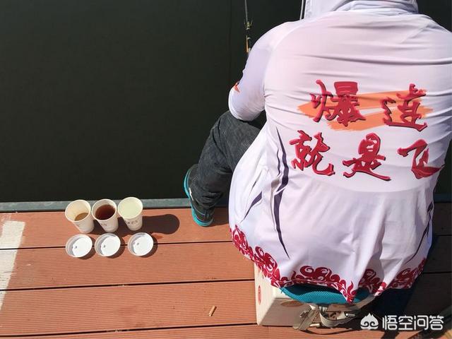 我手秃鹫的活饵:钓鱼时，在使用商品饵新手会出现什么错误的事情，该怎么样解决？