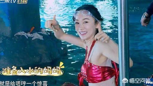 霍思燕家的猫:如果你在路上偶遇了霍思燕，你想说什么？