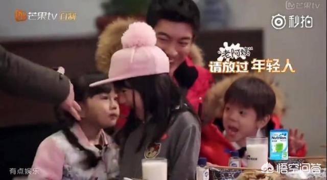 霍思燕家的猫:如果你在路上偶遇了霍思燕，你想说什么？