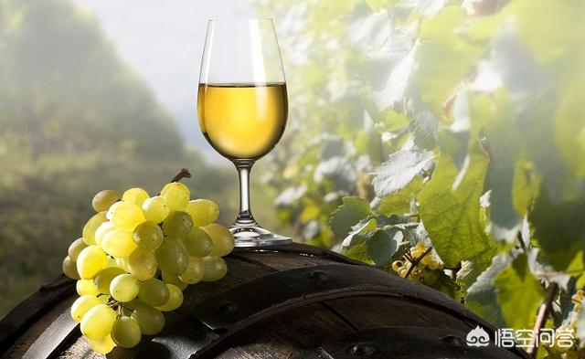 大玛诺公爵红葡萄酒，克罗地亚是个怎样的国家？