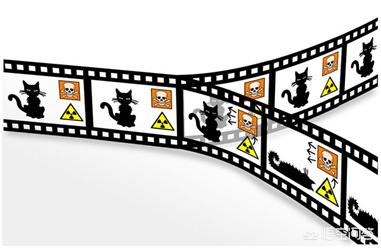 波米拉猫的图片:如何理解“薛定谔的猫”？