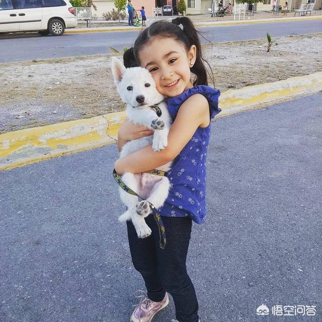 抱狗:抱狗丫头 一伸手要抱狗狗就跑了有什么办法让跟主人更亲近？