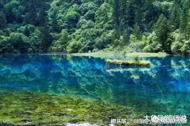 林青霞母女吵架:母女争吵后先后坠楼身亡，天下父母心遭遇儿女玻璃心如何才好？