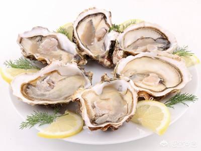 海蛎子(生蚝)生吃会不会有寄生虫？清蒸要几分钟？