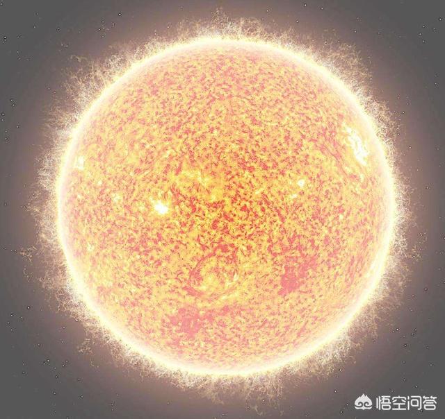 切尔诺贝利巨鼠:电影里的丧尸病毒会成为现实吗