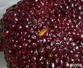 杨梅里的虫子有害吗,杨梅里面的虫子是什么？能吃吗？