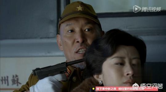 刘敏涛和王凯什么关系:刘敏涛演技很好，为什么演不到女主角？