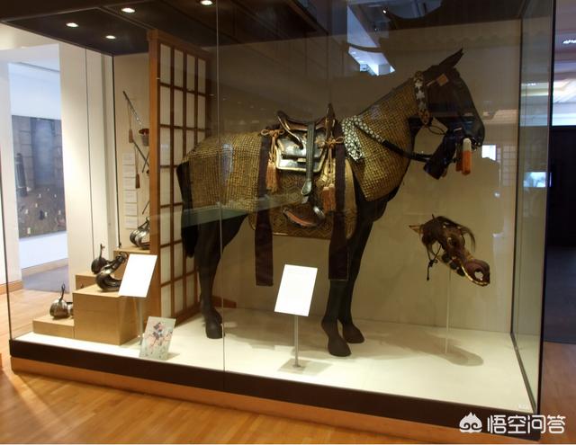 头条问答 日本战国时期都是矮种马 那武田信玄 上杉谦信等人的骑兵威力到底有多强呢 2个回答