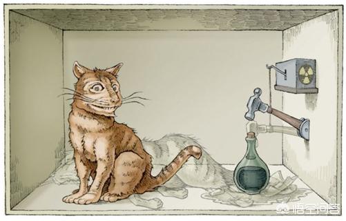 波米拉猫的图片:如何理解“薛定谔的猫”？