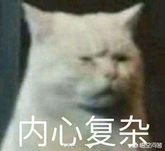养猫指南百度文库:养猫的话，平民的开销一般是多少？