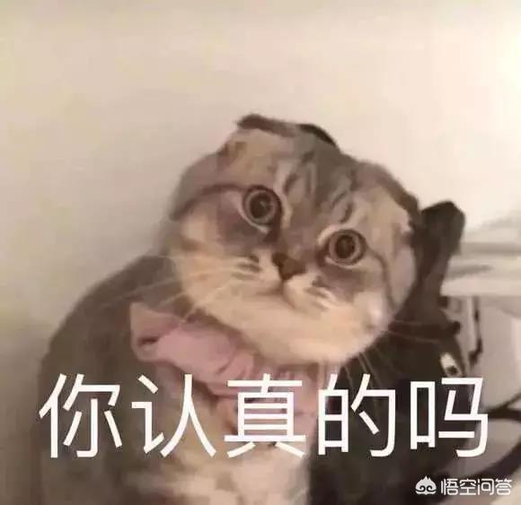 有个又肥又胖的大肚男友,是一种什么体验？