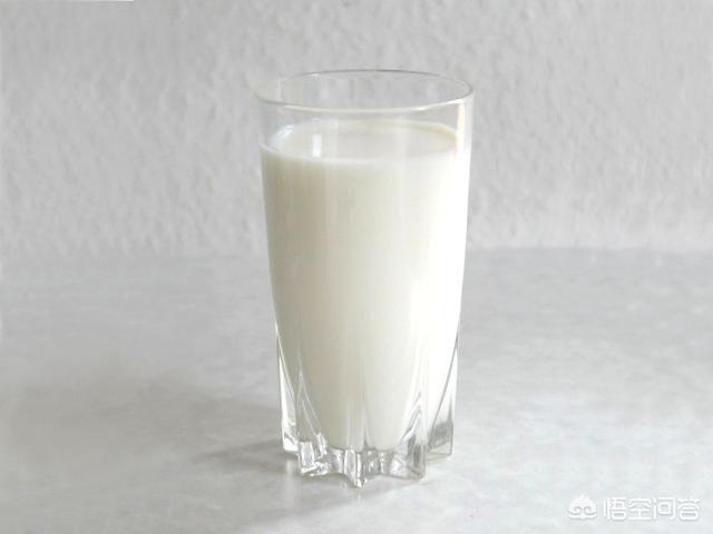 是鲸鱼是哺乳动物吗:鲸鱼是一种哺乳动物，那么鲸鱼奶能不能给人喝，为什么？
