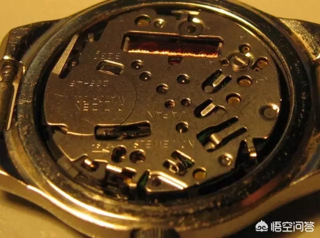 狗牙雨:被自己养的小狗牙齿刮破皮了用不用打针？