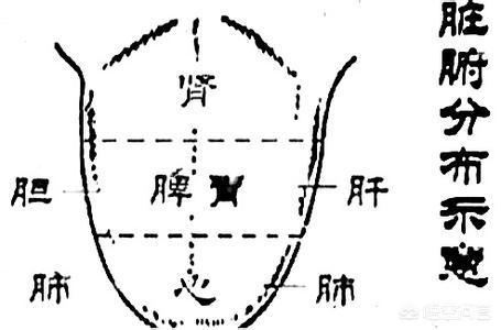 杨臭脚:女的，35岁没男朋友，找一婚男的难度大吗