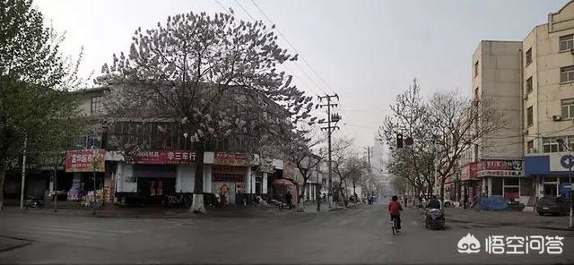 临沂洗砚池街灵异事件:在临沂有多少知道直通临沂的？