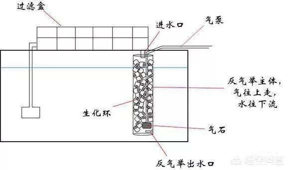 水族箱过滤器:水族箱的过滤系统怎么弄？ 水族箱过滤器安装方法