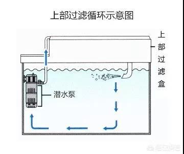 水族箱过滤器:水族箱的过滤系统怎么弄？ 水族箱过滤器安装方法