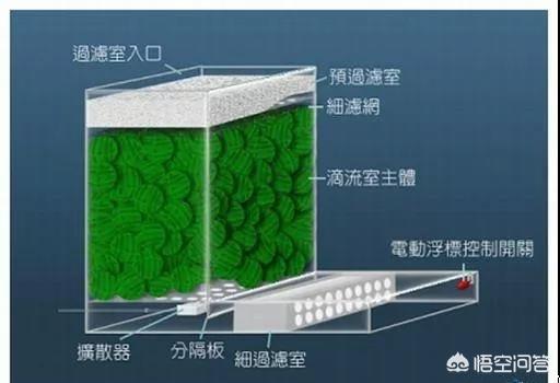 水族箱过滤器:水族箱的过滤系统怎么弄？ 水族箱过滤器安装方法