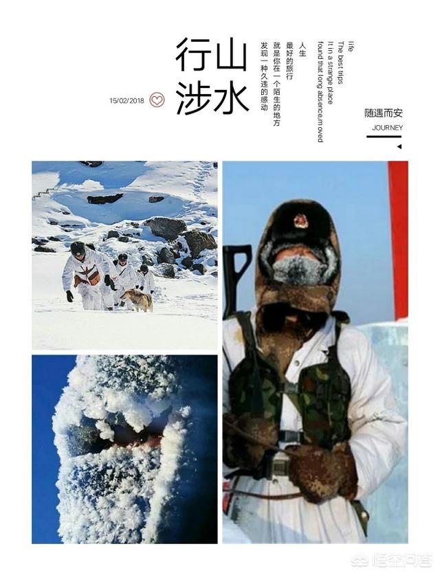 保护狗的资料:狗为什么不能是保护动物？