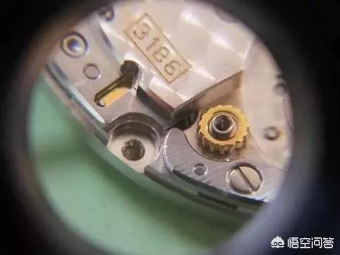 狗牙雨:被自己养的小狗牙齿刮破皮了用不用打针？