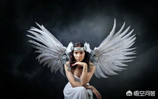 头条问答 - 人若长翅膀能飞吗?(8个回答)