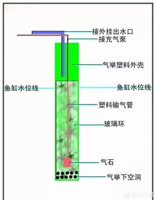 海缸蛋白分离机有啥用:水族箱的过滤系统怎么弄？