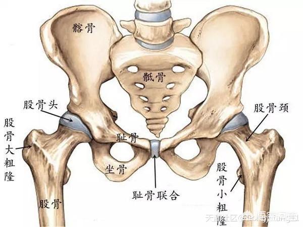 如何开胯?(21个回答)