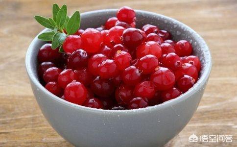 蔓越莓能防治尿路感染吗，被捧上天的蔓越莓真能美容、防癌、防尿路感染吗