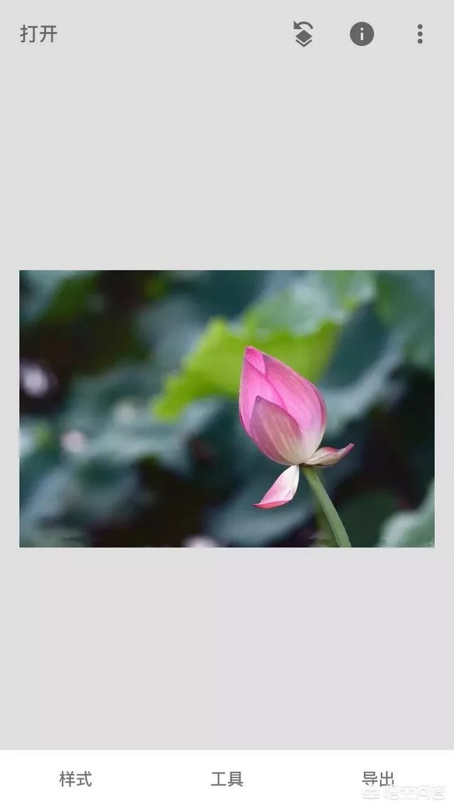 如何用snapseed将照片背景调成黑色、白色？