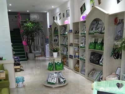三线城市开个宠物店要多少钱:二线城市如何开宠物店呢？