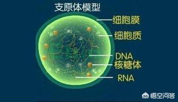 泌尿生殖系统感染:泌尿生殖系统感染用什么消炎药 尿路感染久治不愈的原因是什么？