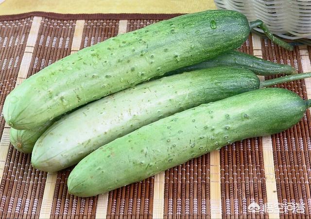 黄瓜最佳种植时间是什么时候，现在可以种黄瓜了吗？如何种？