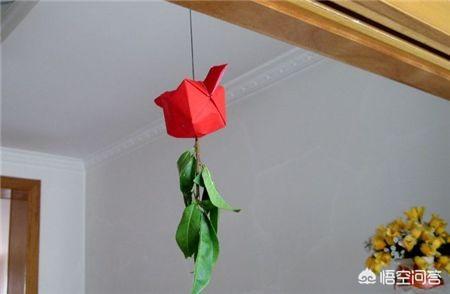 端午节的起源是什么？