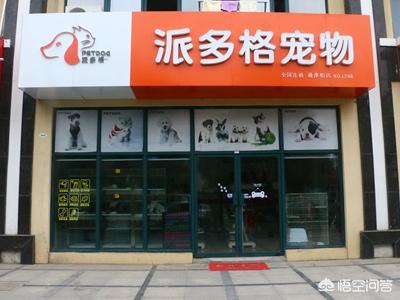 开家宠物店要多少钱:高中毕业生，想开宠物店，大概需要些什么？