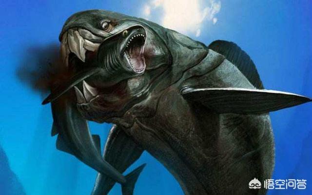 巨枪乌贼:地球生物史上，除恐龙外还有什么大型动物