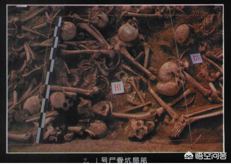矛齿鲸骨架:“越王勾践剑”真的千年不锈？