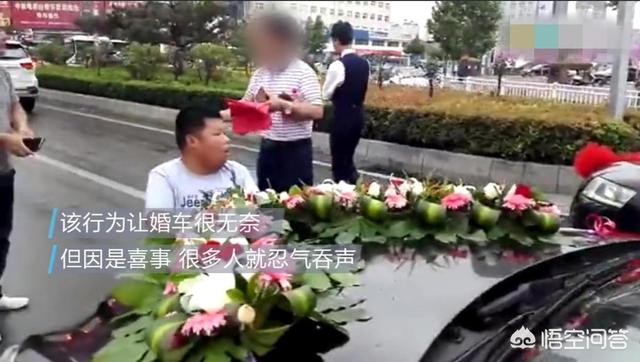 河南爆红小博美闹闹:如何看待河南濮阳拦婚车小胖的出现？