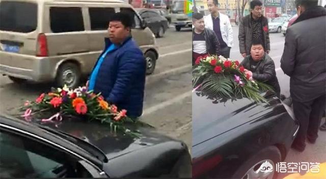 河南爆红小博美闹闹:如何看待河南濮阳拦婚车小胖的出现？