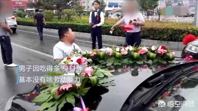 河南爆红小博美闹闹:如何看待河南濮阳拦婚车小胖的出现？