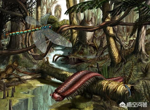 巨枪乌贼:地球生物史上，除恐龙外还有什么大型动物