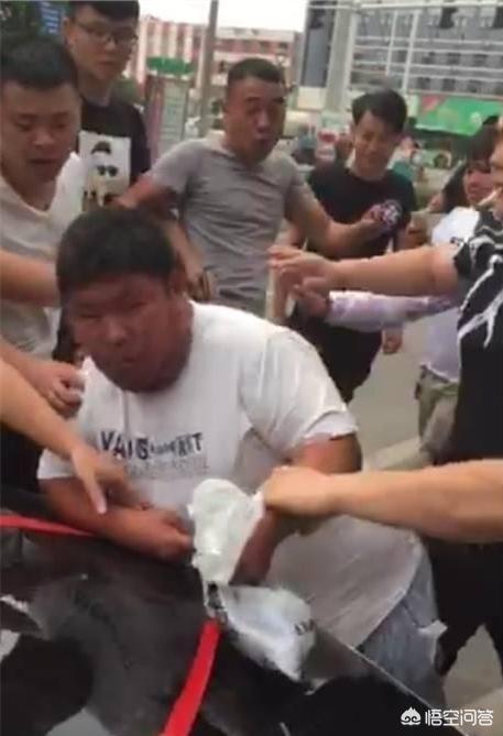 河南爆红小博美闹闹:如何看待河南濮阳拦婚车小胖的出现？