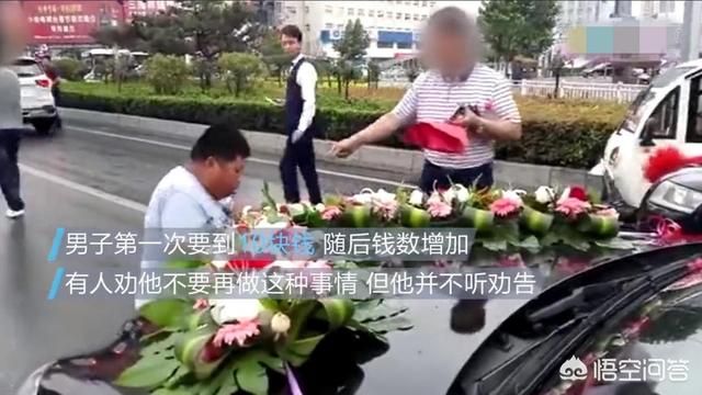 河南爆红小博美闹闹:如何看待河南濮阳拦婚车小胖的出现？