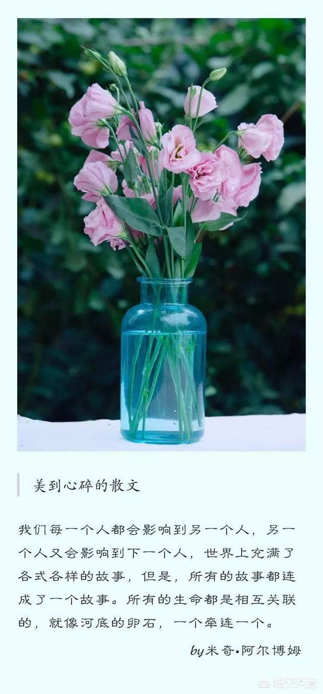 金扫帚奖是什么:6月29日肖战获金扫帚最令人失望男演员，你怎么看