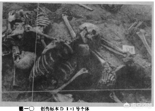 矛齿鲸骨架:“越王勾践剑”真的千年不锈？