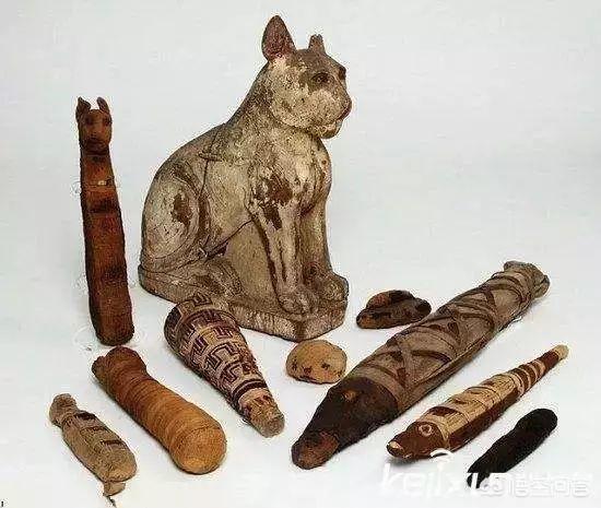 古代猫在哪个国家内受到严格保护:在古代，猫在人们心中的地位是怎样的？