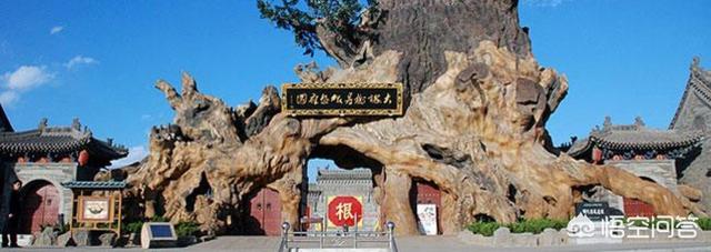 古槐树的灵异事件:为什么大多的数农村里都有几棵老槐树呢？
