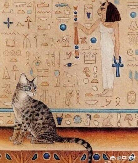 古代猫在哪个国家内受到严格保护:在古代，猫在人们心中的地位是怎样的？