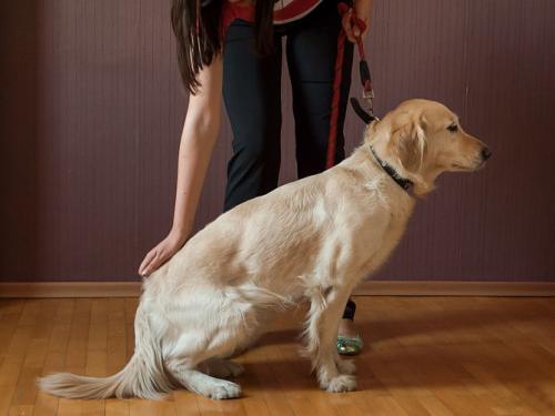狂犬病病毒可以在口腔内存活:狗嘴很脏吗？被狗舔一口有多危险？ 狂犬病毒在人的口腔里能存活多久