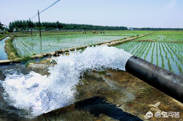 养鳌虾要放多深的水:养小龙虾用井水好还是河水好？