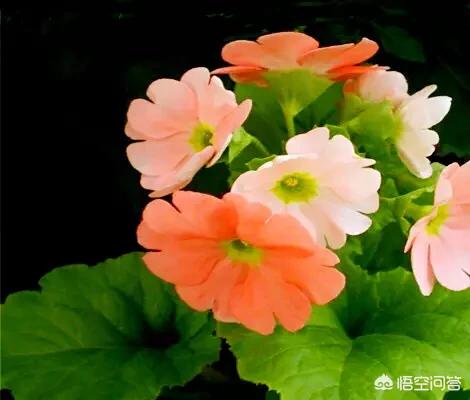 一生难忘:你的父亲为你做过什么让你一生难忘？